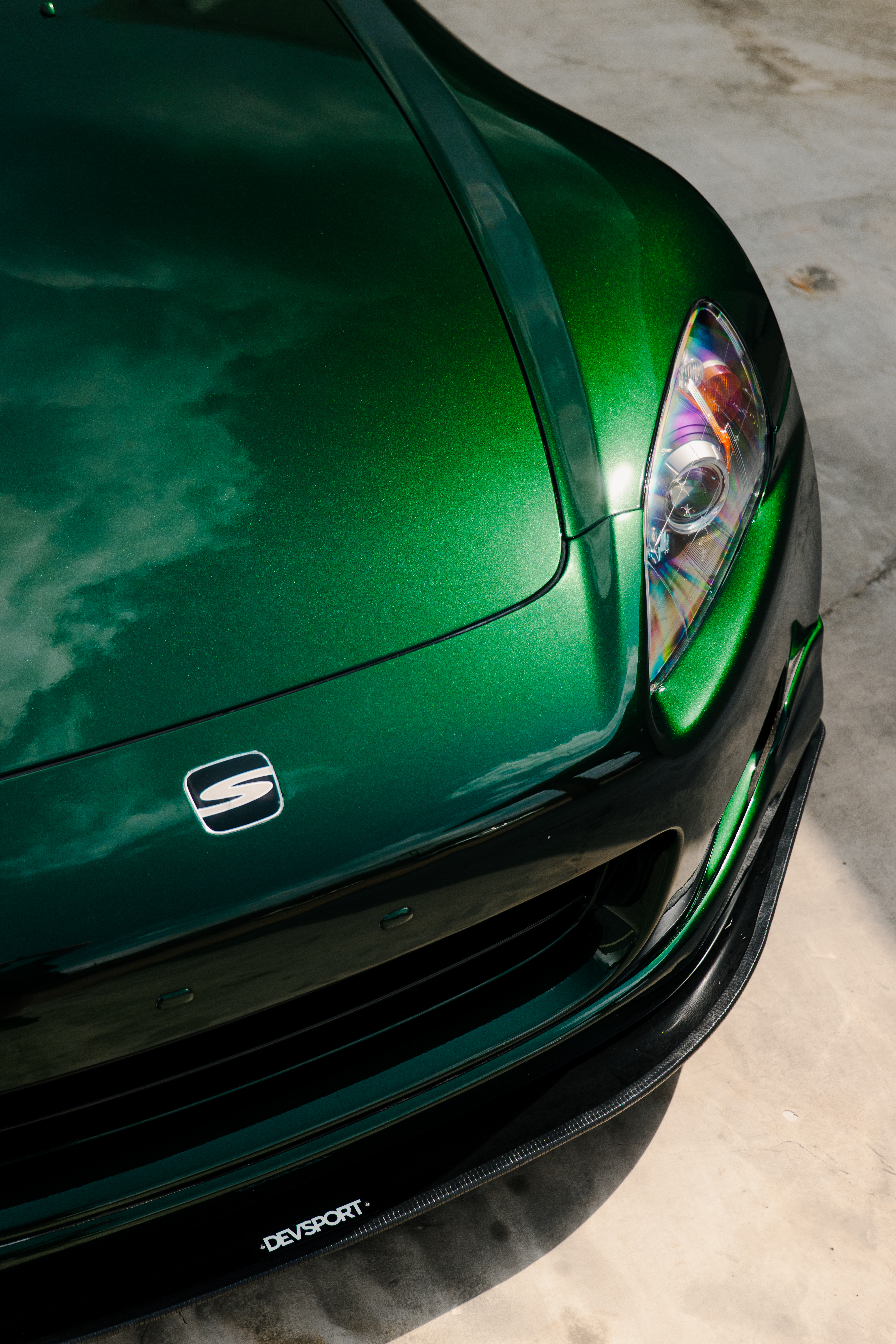 Hood and headlight detail